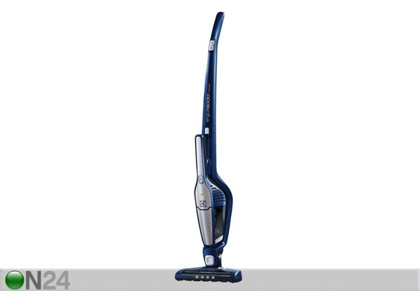 Tolmuimeja Electrolux Ergorapido 2in1