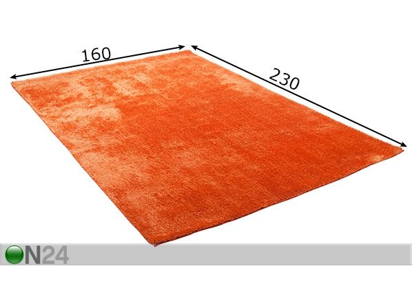 Vaip Alessia 160x230 cm mõõdud