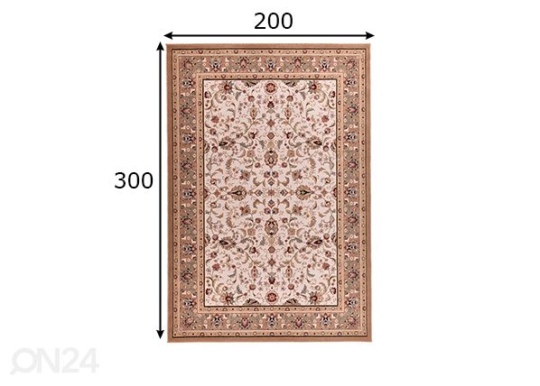 Vaip Dolna, 200x300 cm beež mõõdud