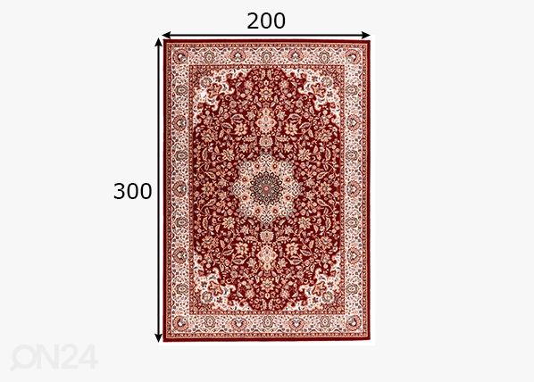 Vaip Dolna, 200x300 cm punane mõõdud