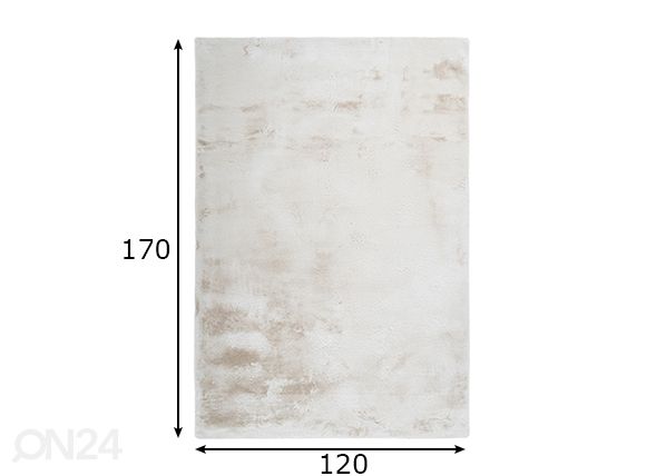 Vaip Emotion Cream 120x170 cm mõõdud