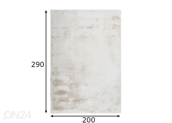 Vaip Emotion Cream 200x290 cm mõõdud
