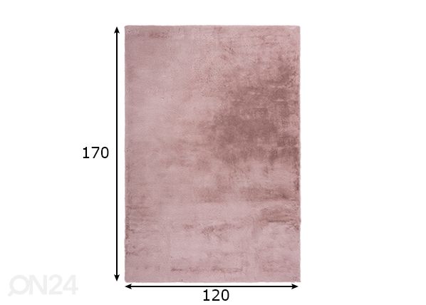 Vaip Emotion Pastel Pink 120x170 cm mõõdud