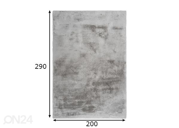 Vaip Emotion Silver 200x290 cm mõõdud