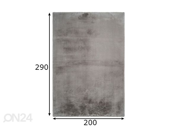 Vaip Heaven Taupe 200x290 cm mõõdud