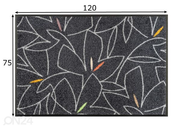 Vaip Linostre 75x120 cm mõõdud