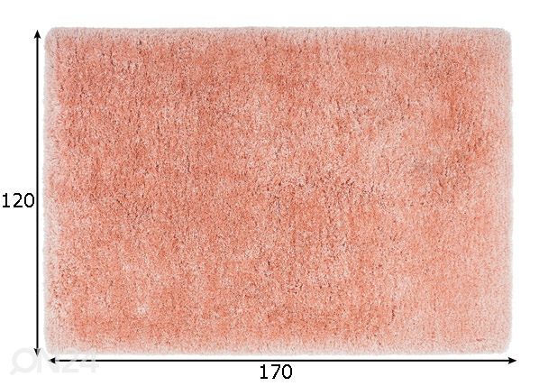 Vaip Monaco 120x170 cm mõõdud
