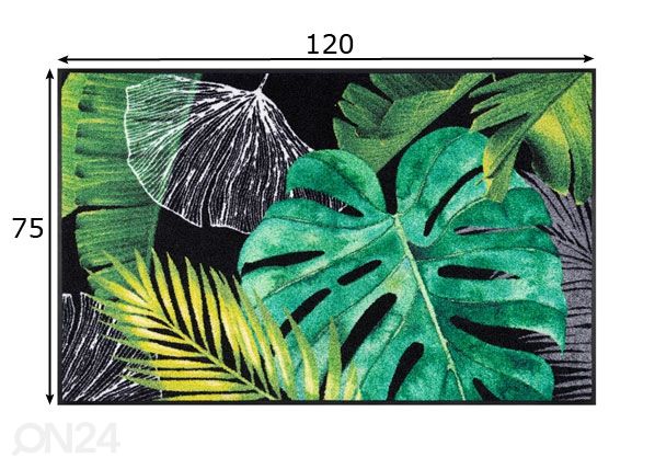 Vaip Neoflora 75x120 cm mõõdud