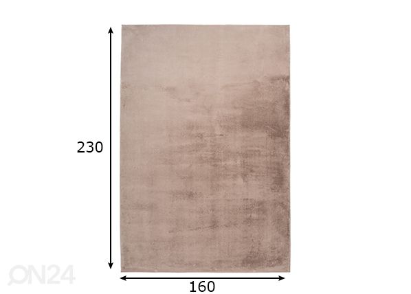 Vaip Paradise Taupe 160x230 cm mõõdud