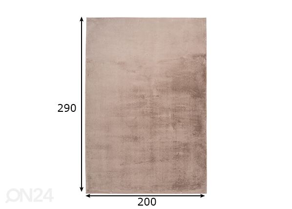 Vaip Paradise Taupe 200x290 cm mõõdud