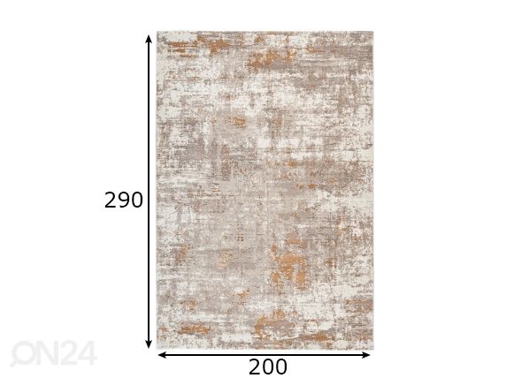 Vaip Pierre Cardin Paris Beige 200x290 cm mõõdud