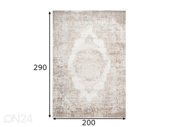 Vaip Pierre Cardin Paris Taupe 200x290 cm mõõdud