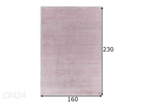 Vaip Powder 160x230 cm mõõdud