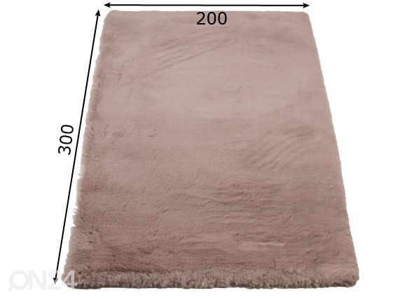 Vaip Rabbit 200x300 cm mõõdud
