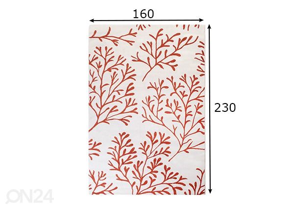 Vaip Sarah 160x230 cm mõõdud