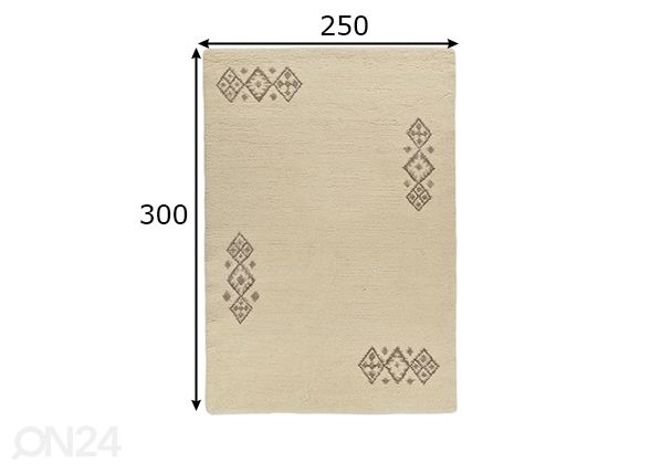Vaip Taza Royal 250x300 cm blanc mõõdud