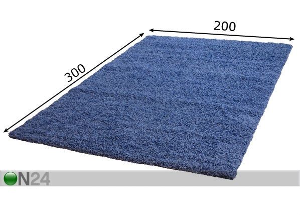 Vaip Trend 200x300 cm mõõdud