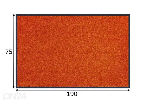 Vaip Trend color 75x190 cm mõõdud