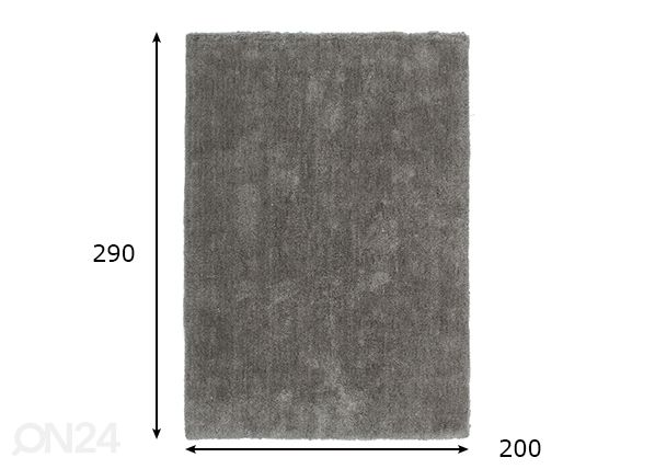 Vaip Velvet Platin 200x290 cm mõõdud