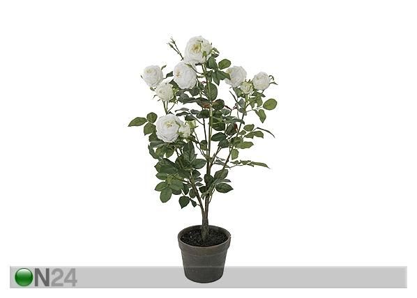 Valge roos 95 cm