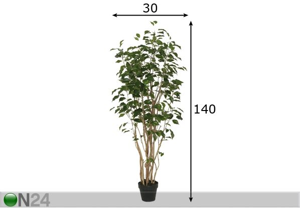 Viigipuu New Ficus potis 140 cm mõõdud
