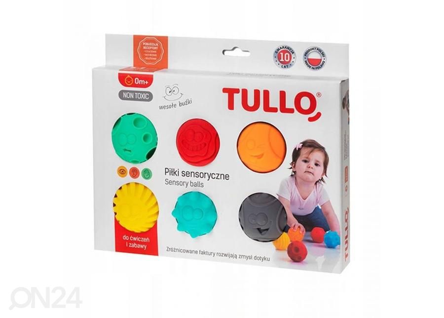 Arendav mänguasi lastele sensoorsed pallid AM Tullo 6 tk suurendatud