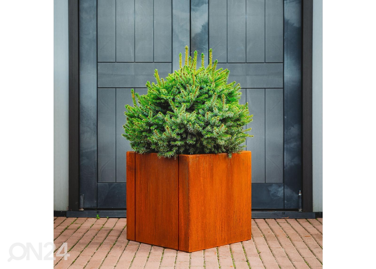 Corteni terasest lillepott Clara L suurendatud