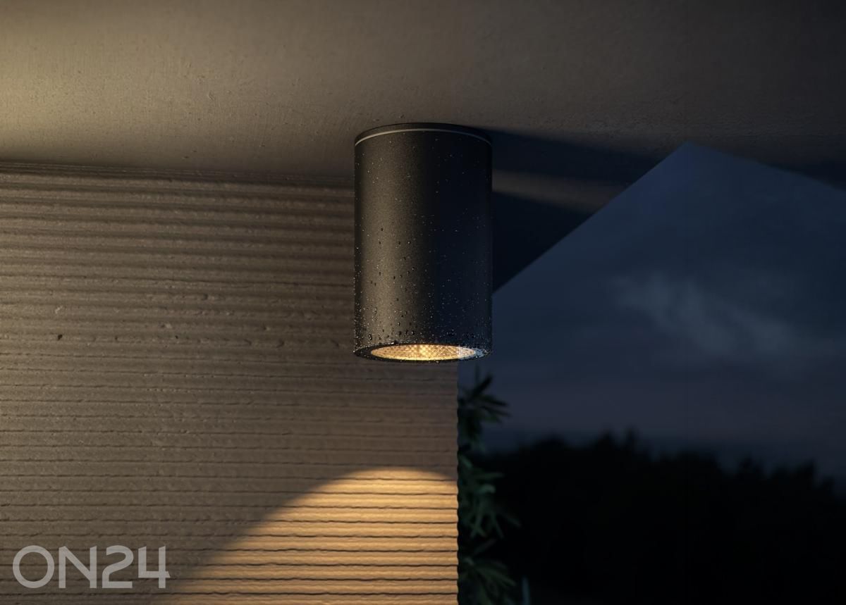 Fassaadivalgusti Roll suurendatud