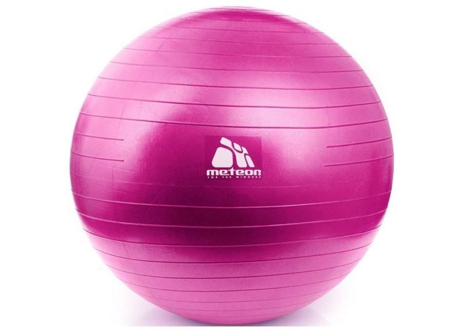 Fitnesspall Meteor 55 cm pumbaga 31132 suurendatud