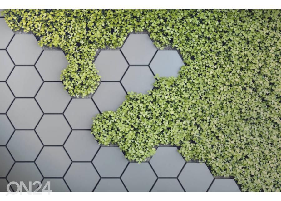 Fliis fototapeet 3D Green Vertical Garden 368x254 cm suurendatud