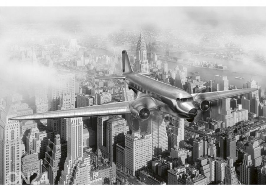 Fliis fototapeet Airplane 225x250 cm suurendatud