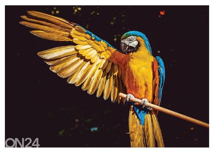 Fliis fototapeet Ara 400x260 cm suurendatud
