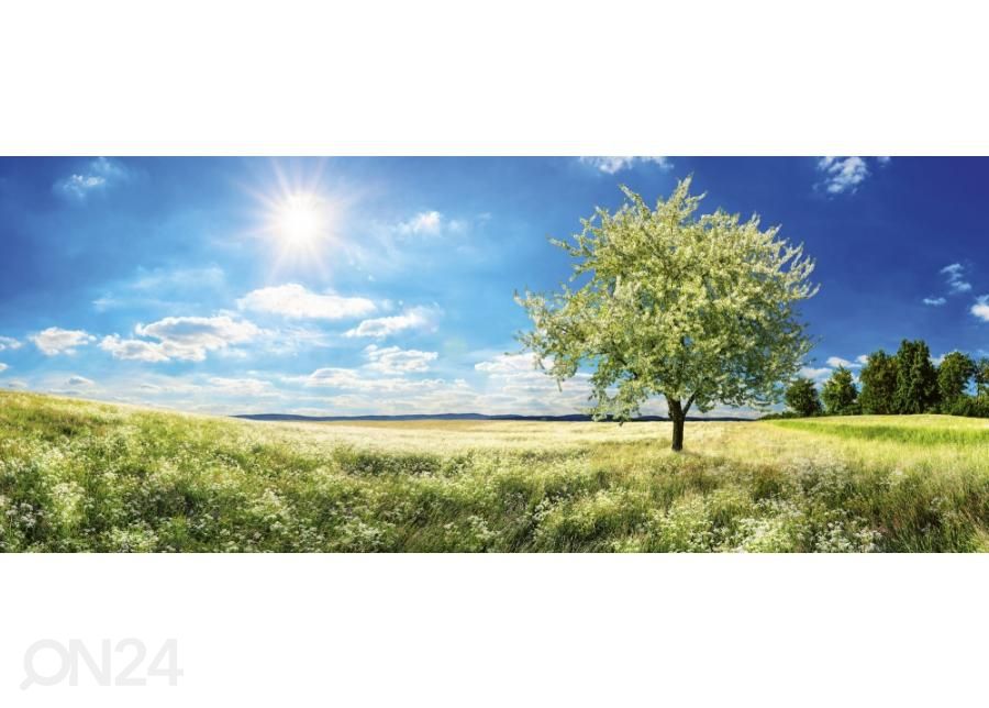 Fliis fototapeet Blossom tree 375x150 cm suurendatud
