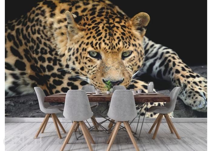 Fliis fototapeet Close Up Leopard Portrait 368 x 254 cm suurendatud