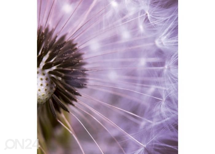 Fliis fototapeet Dandelion 225x250 cm suurendatud