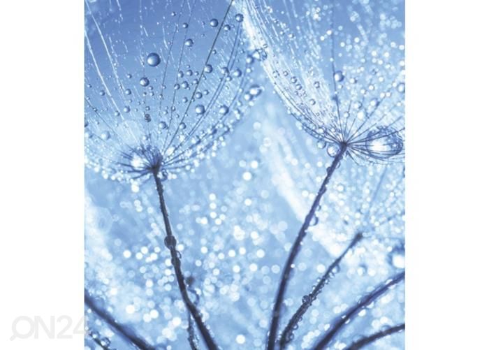 Fliis fototapeet Dandelion waterdrops 225x250 cm suurendatud