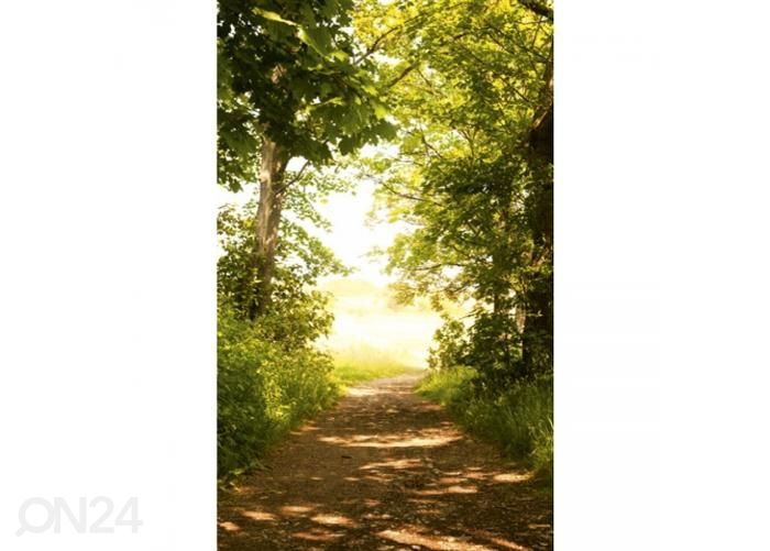 Fliis fototapeet Forest path 150x250 cm suurendatud