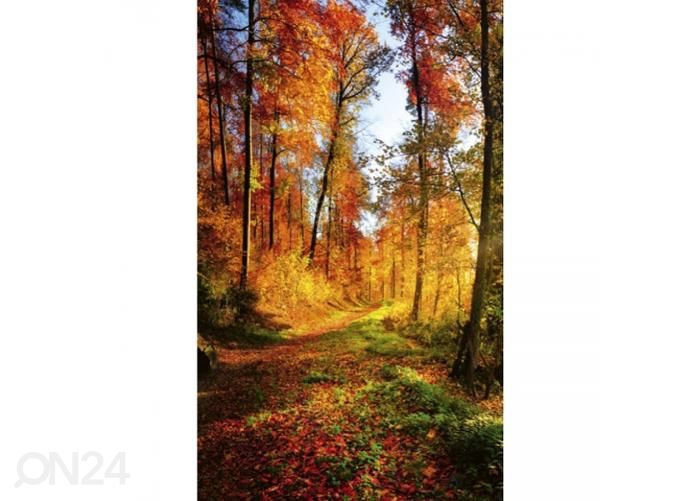 Fliis fototapeet Forest walk 150x250 cm suurendatud