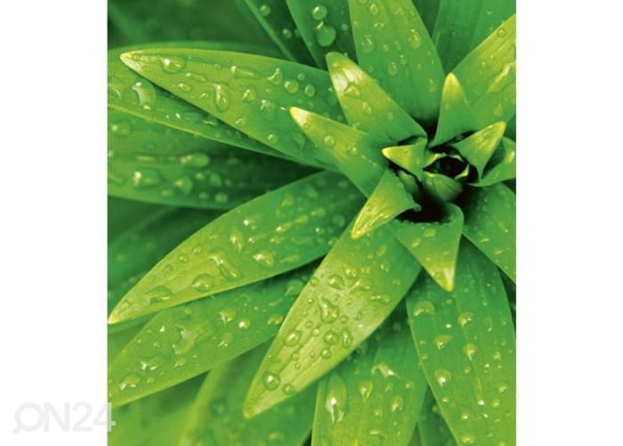 Fliis fototapeet Fresh foliage 225x250 cm suurendatud