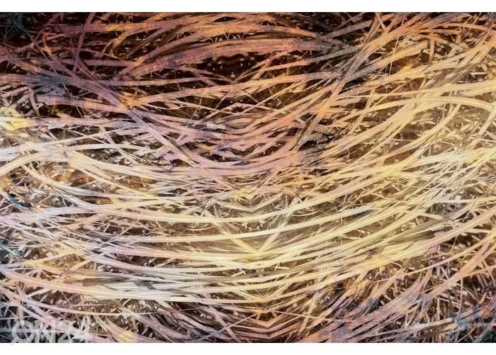 Fliis fototapeet Hay Abstract I 150x250 cm suurendatud
