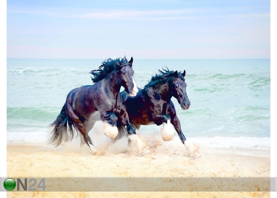 Fliis-fototapeet Horses 360x270 cm suurendatud