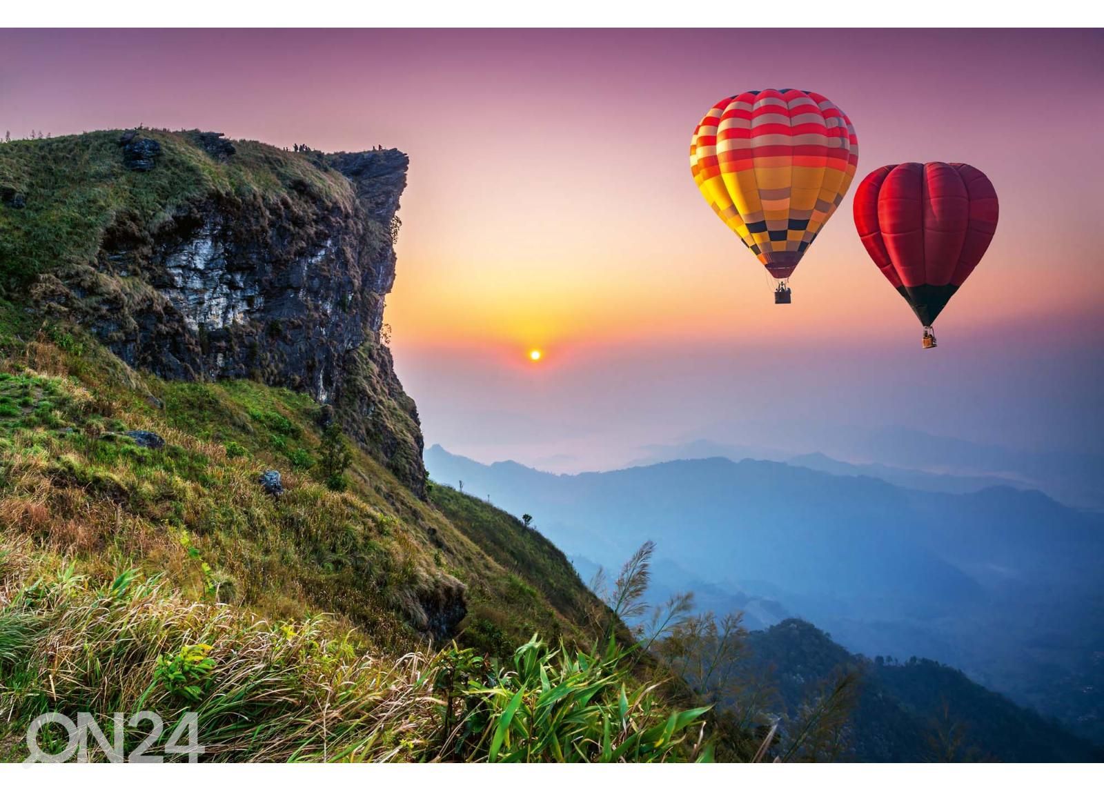 Fliis fototapeet Hot Air Balloons suurendatud