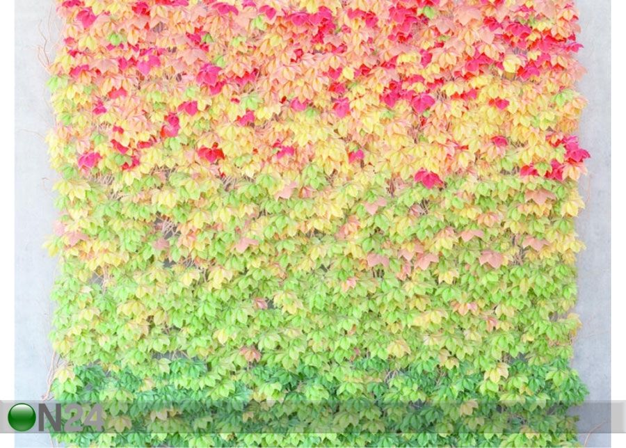 Fliis-fototapeet Leaves 360x270 cm suurendatud
