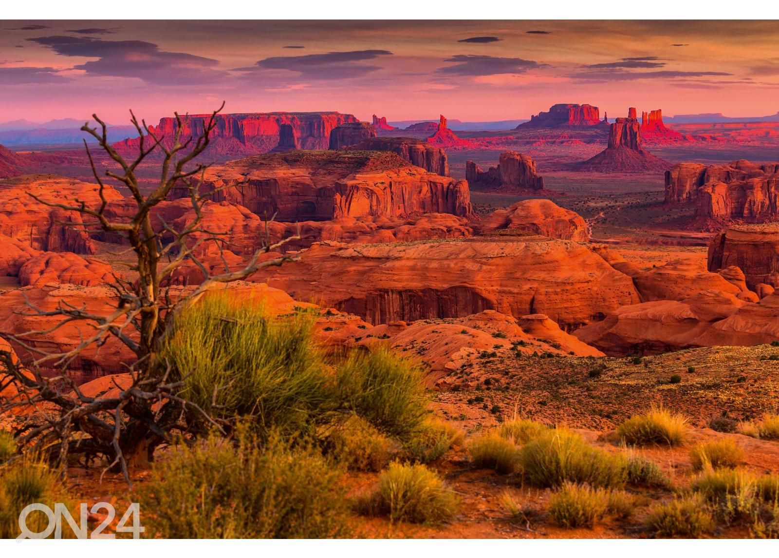 Fliis fototapeet Monument Valley suurendatud