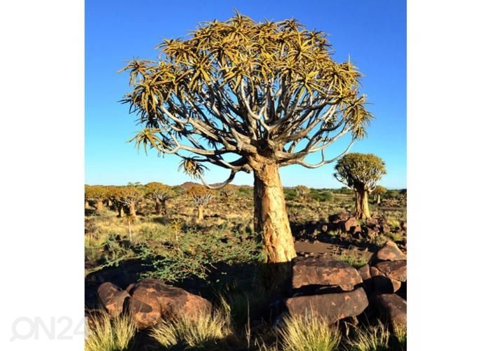 Fliis fototapeet Namibia 225x250 cm suurendatud