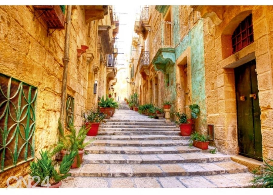Fliis fototapeet Narrow street 150x250 cm suurendatud