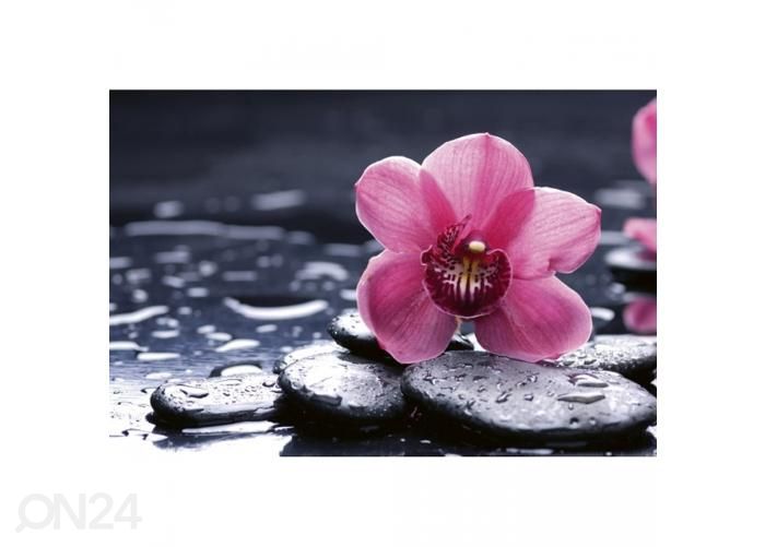 Fliis fototapeet Orchid 375x250 cm suurendatud