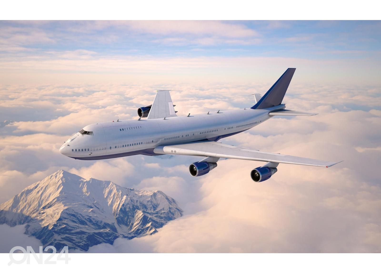 Fliis fototapeet Passenger Aircraft suurendatud