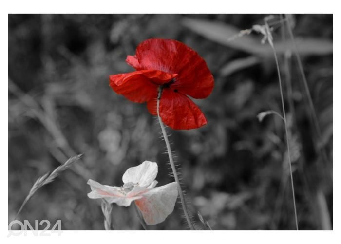 Fliis fototapeet Poppies 416x290 cm suurendatud