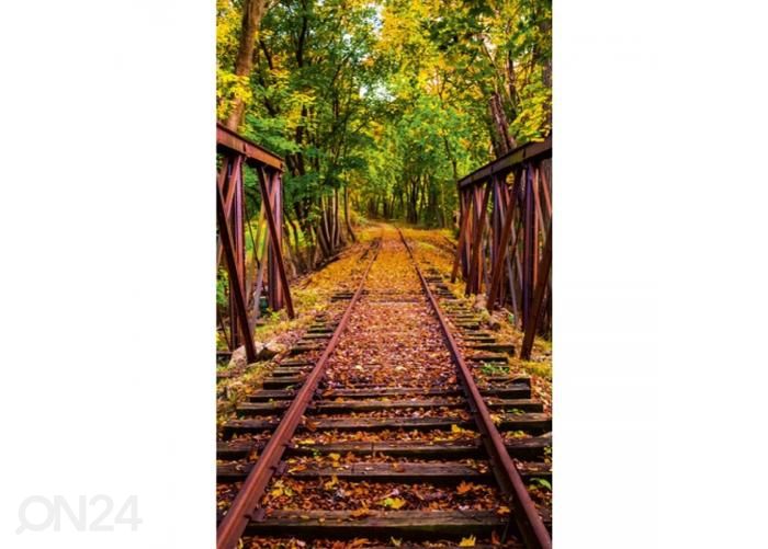 Fliis fototapeet Railroad 150x250 cm suurendatud